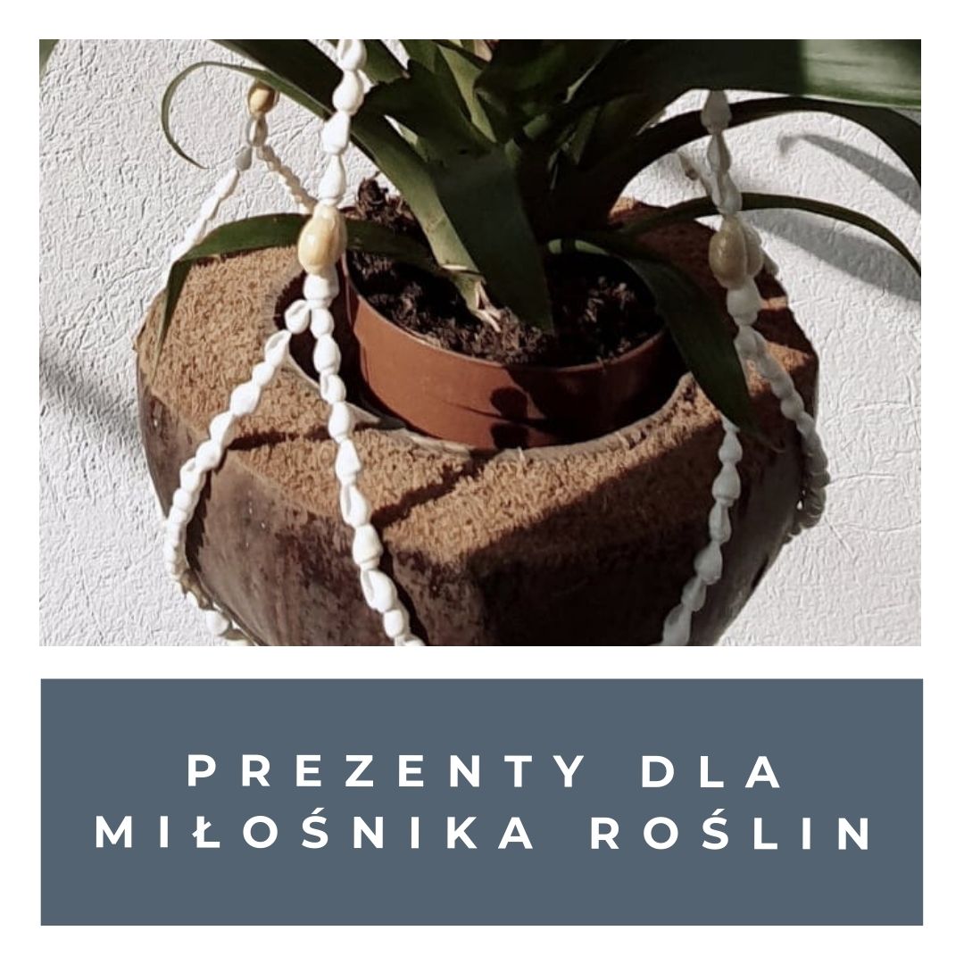 prezenty dla miłośnika roślin